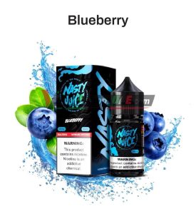 nasty smooth series salt 30ml in uae blueberry