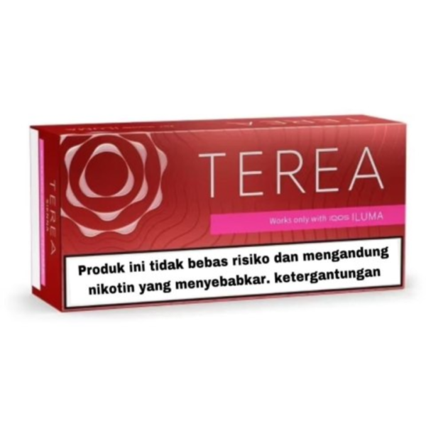 Buy IQOS Heets Terea Indonesia Amber in Dubai - Vape Shops UAE