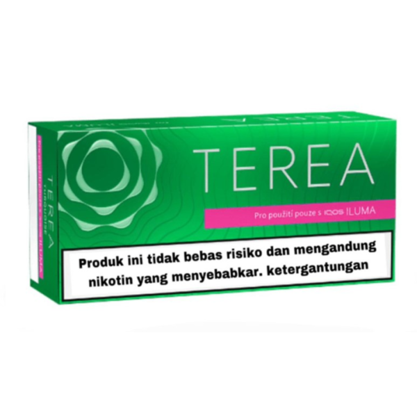 Buy IQOS Heets Terea Indonesia Green in Dubai - Vape Shops UAE