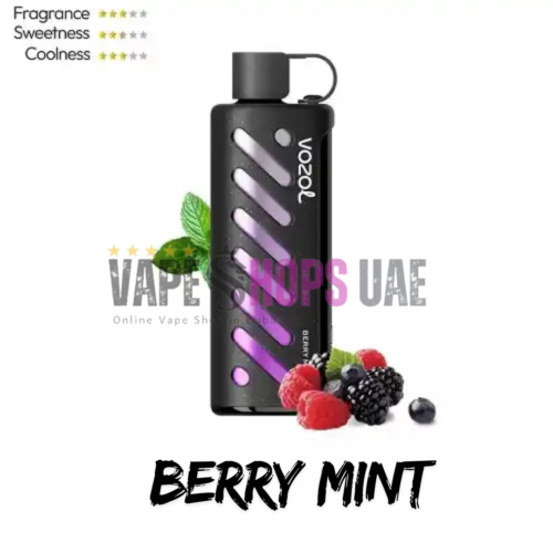 Vozol Gear Shisha 25000 Puffs - Berry Mint