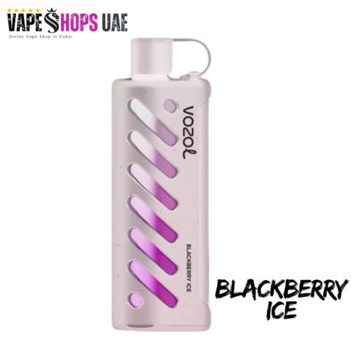 Vozol Gear Shisha 25000 Puffs - Blackberry ice