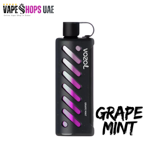 Vozol Gear Shisha 25000 Puffs - Grape Mint