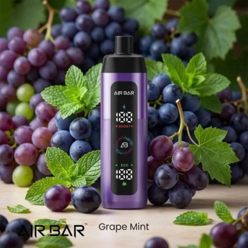 Airbar E Shisha 15000 Puffs Disposable Vape Grape Mint