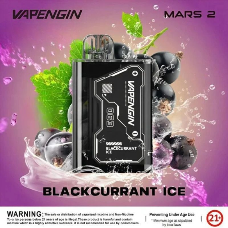 Vapengin Mars 2 20000 Puffs Disposable Vape Blackcurrant Ice