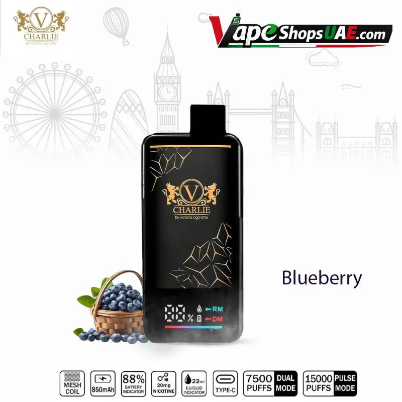 Vicig-Charlie-15000-Puffs-Disposable-Vape-in-Dubai-blueberry.