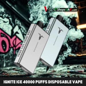 ignite ice 40000 puffs disposable vape icy flavor control in the uae